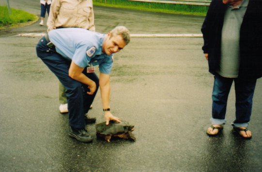 Alamo EMS crew member rescuing a turtle from the roadway